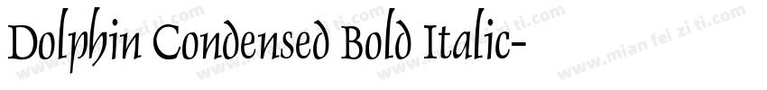 Dolphin Condensed Bold Italic字体转换